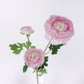 3 Heads Ranunculus Stem Pink 61cmH